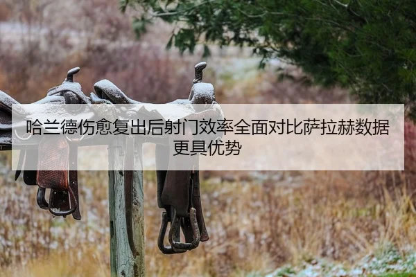 img_1790781433536_2933_0_208.jpg